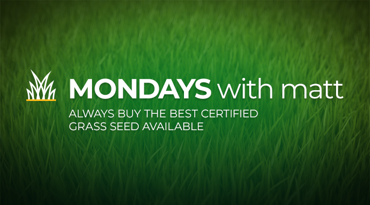 grass background with text that says “Mondays with Matt - always buy the best certified grass seed available”