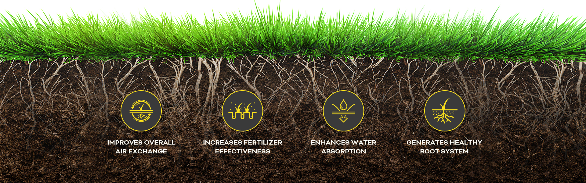 Cross-section photo of turf and soil describing the benefits of aeration